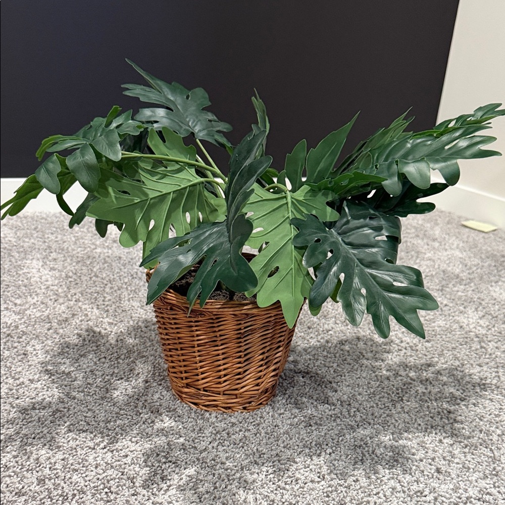 Hearth and Hand- Wicker Basket Planter with Lush Green Foliage